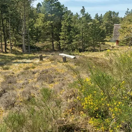 Ferienhaus Ridir - 3-5km From The Sea By Interhome Rømø Kirkeby
